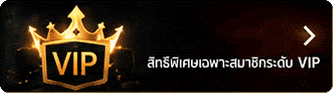 สิทธิพิเศษเฉพาะสมาชิกระดับ VIP